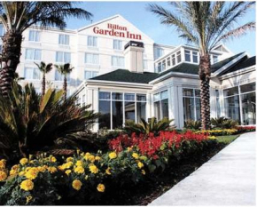  Hilton Garden Inn New Braunfels  Нью Браунфелс